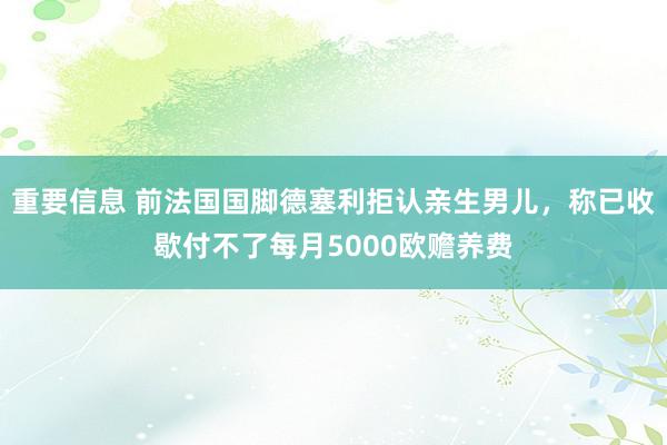 重要信息 前法国国脚德塞利拒认亲生男儿，称已收歇付不了每月5000欧赡养费