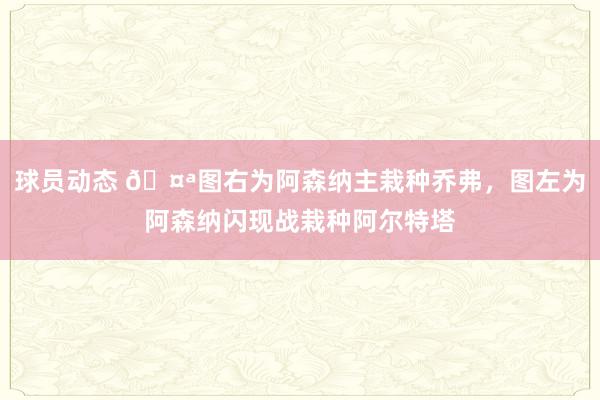 球员动态 🤪图右为阿森纳主栽种乔弗，图左为阿森纳闪现战栽种阿尔特塔