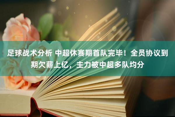 足球战术分析 中超休赛期首队完毕！全员协议到期欠薪上亿，主力被中超多队均分