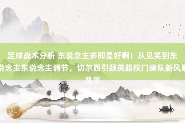 足球战术分析 东说念主多即是好啊！从见笑到东说念主东说念主调节，切尔西引颈英超权门建队新风景