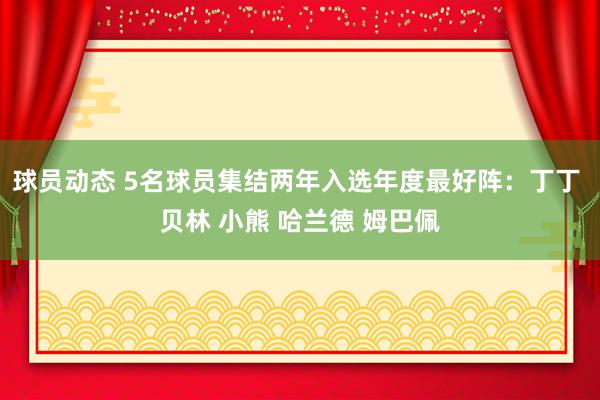 球员动态 5名球员集结两年入选年度最好阵：丁丁 贝林 小熊 哈兰德 姆巴佩